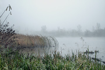 Image showing Foggy landscape with river