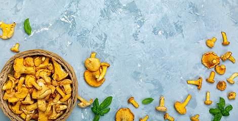 Image showing  Raw wild mushrooms chanterelles in basket.