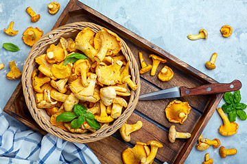 Image showing Wild chanterelles in a wicker basket close-up.