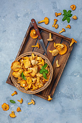 Image showing Forest mushrooms chanterelles in a wicker basket.