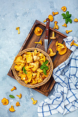 Image showing Chanterelles in a wicker basket.