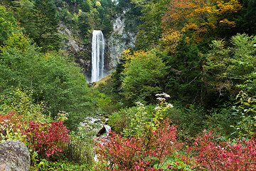 Image showing Waterfall in autumn