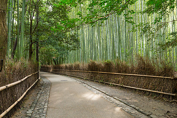 Image showing Bamboo groves of Arashiyama