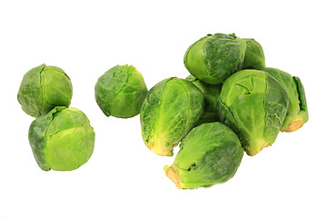 Image showing Brussels sprouts (Cabbage) 