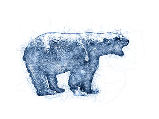 Image showing Angry Bear Ballpoint Pen Doodle Illustration