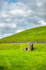 Image showing green grass meadow background in Ireland