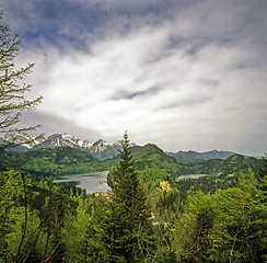 Image showing Castle Hohenschwangau, Germany