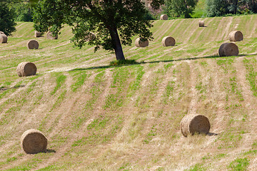 Image showing some straw bales on a field in Marche Italy