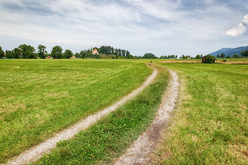 Image showing bavaria landscape green meadow