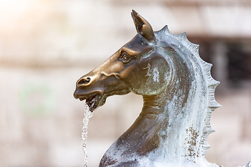 Image showing fountain in Ascoli Piceno