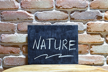 Image showing Chalk board with the word NATURE drown by hand and chalks on woo