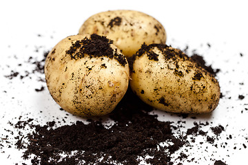 Image showing Newly harvested potatoes and soil isolated on white background.