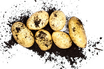 Image showing Fresh organic potatoes and soil isolated on white background.