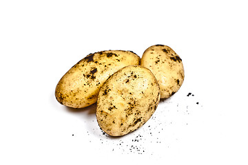 Image showing Newly harvested dirty potatoes heap isolated on white background