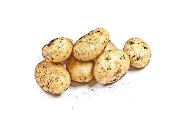 Image showing Newly harvested dirty potatoes heap isolated on white background