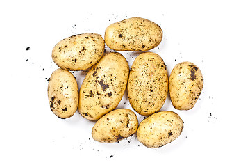 Image showing Newly harvested dirty potatoes heap isolated on white background