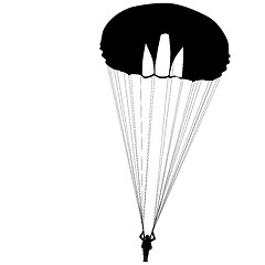 Image showing Skydiver, silhouettes parachuting on a white background