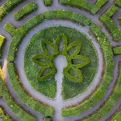 Image showing Round form of a labyrinth of sheared bushes, top view from the drone. Topiary art.