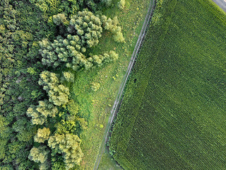 Image showing Countryside dirty road along the agricultural field and green forest. Aerial view from dron