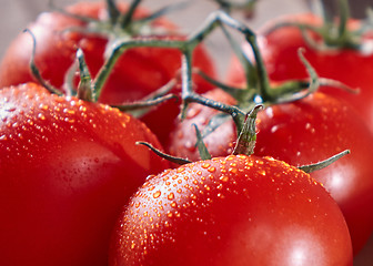 Image showing Macro photo of ripe red tomatoes on a branch with drops of water. Healthy vegetable