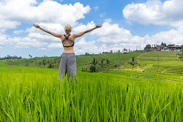 Image showing Relaxed healthy sporty woman, arms rised to the sky, enjoying pure nature at beautiful green rice fields on Bali.