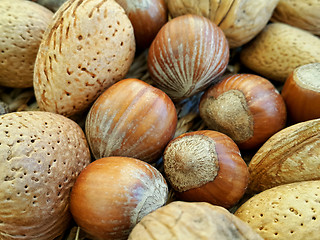 Image showing Mix of different types nuts