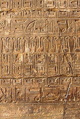 Image showing Ancient stone column with Egyptian hieroglyphs