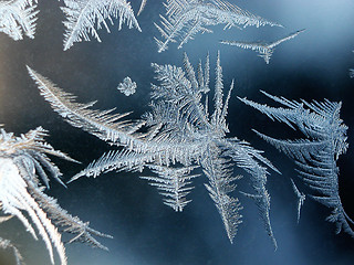 Image showing Winter