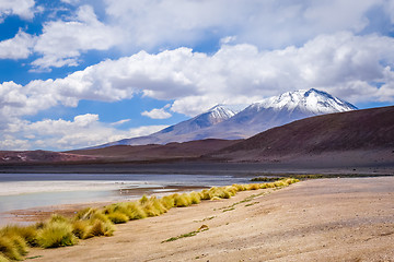 Image showing Laguna Honda in sud Lipez Altiplano reserva, Bolivia