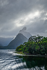 Image showing Milford Sound, fiordland national park, New Zealand