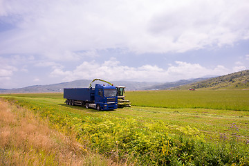 Image showing combine machine loading bunker of the truck