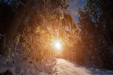 Image showing Snowy country road during  sunset or sunrise