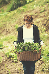 Image showing woman gardening