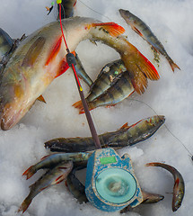 Image showing Winter ice fishing