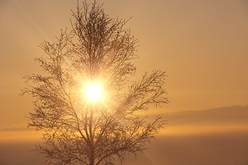 Image showing Beautiful winter landscape