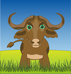 Image showing Ungulate animal buffalo on green year glade