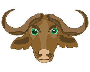 Image showing Head animal buffalo on white background is insulated