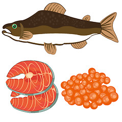 Image showing Vector illustration of fish of the sort salmon and meat with roe