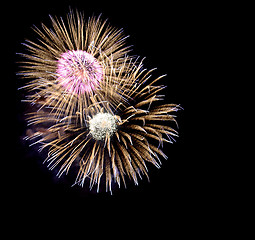 Image showing Colourful fireworks bursts