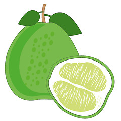 Image showing Pomelo fruit on white background is insulated