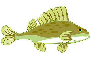 Image showing Fish ruff on white background is insulated