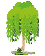 Image showing Tree osier on white background is insulated