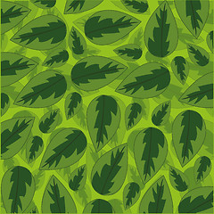 Image showing Vector illustration of the decorative pattern from green sheet