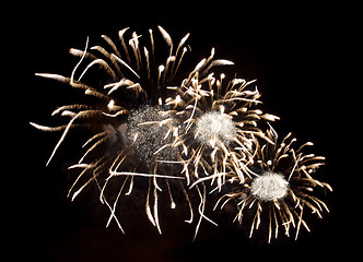 Image showing Sparkling fireworks bursts