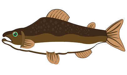 Image showing Fish salmon on white background is insulated