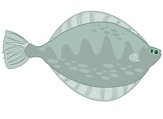 Image showing Fish plaice on white background is insulated