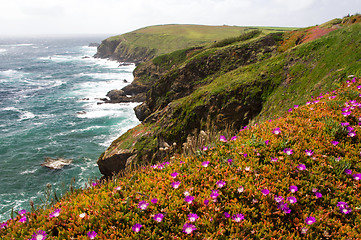 Image showing Cornwall, United Kingdom