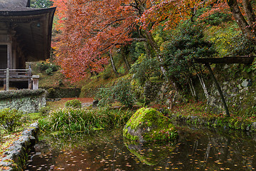 Image showing Japanese temple in autumn