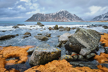 Image showing Rocky coast of fjord in Norway