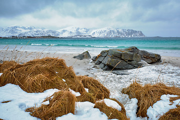 Image showing Lofoten islands landscape